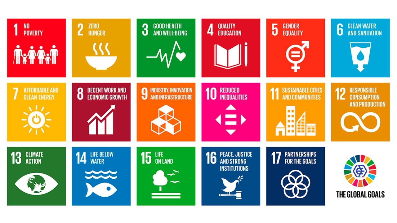 Sustainable Development Strategy, Sustainable Development Goals, sustainable development, environmental solutions, UN Sustainable Development Goals (SDGs), poverty reduction, food security, health, education, gender equality, water security, energy access, economic growth, sustainable industrialization, inequality reduction, sustainable cities, sustainable consumption, climate action, ocean conservation, land conservation, peaceful societies, global partnerships, CSR, DEC, Dynamic Environmental Corporation, DEC IMPIANTI, DEC HOLDING, DEC SERVICE, DEC ENGINEERING, DEC AUTOMATION, DEC LAB, DEC ANALYTICS